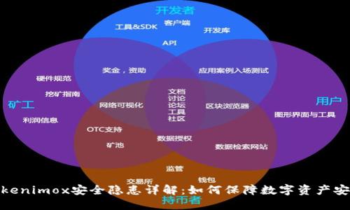 Tokenimox安全隐患详解：如何保障数字资产安全