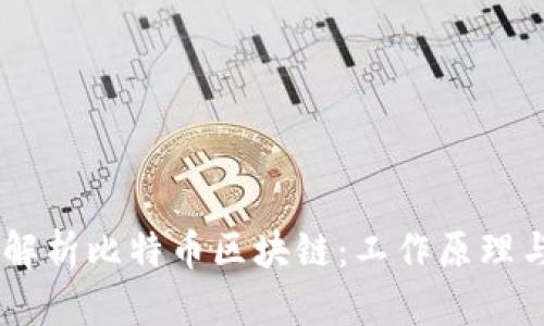 ## 全面解析比特币区块链：工作原理与应用前景