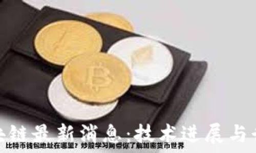   
旷视区块链最新消息：技术进展与行业影响