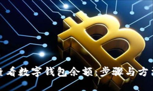 如何查看数字钱包余额：步骤与方法详解