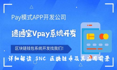 详细解读 SNC 区块链币及其应用前景