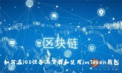 如何在iOS设备上下载和使