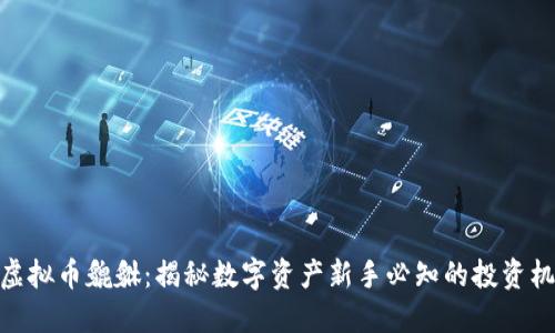 : 虚拟币貔貅：揭秘数字资产新手必知的投资机会