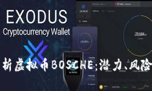 全面解析虚拟币BOSCHE：潜力、风险与未来