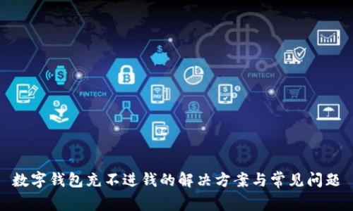 数字钱包充不进钱的解决方案与常见问题