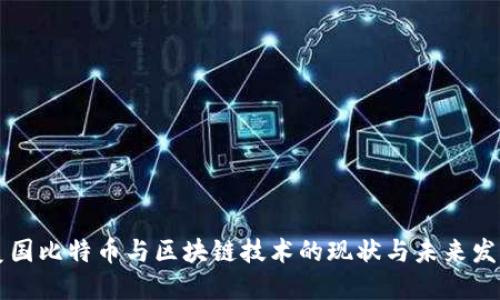 美国比特币与区块链技术的现状与未来发展