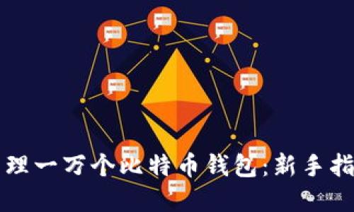 如何选择和管理一万个比特币钱包：新手指南与最佳实践