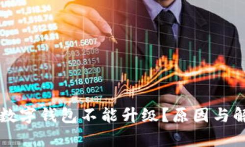为什么中行数字钱包不能升级？原因与解决方案解析