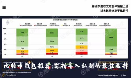 比特币钱包推荐：支持导入私钥的最佳选择