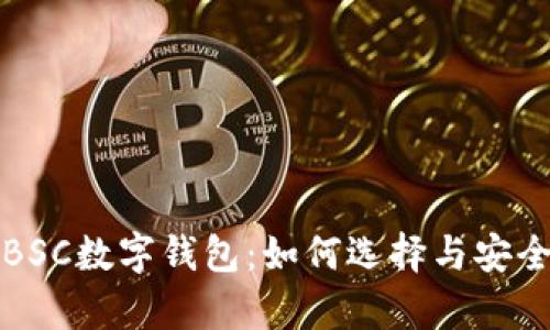 全面解析BSC数字钱包：如何选择与安全使用指南