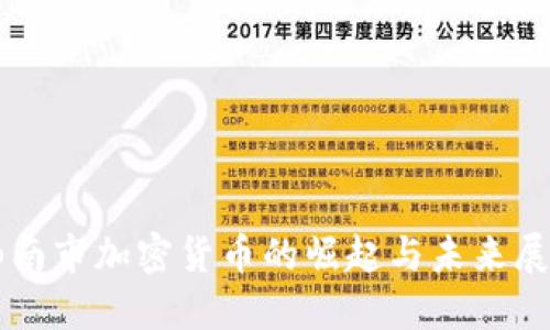 山南市加密货币的崛起与未来展望