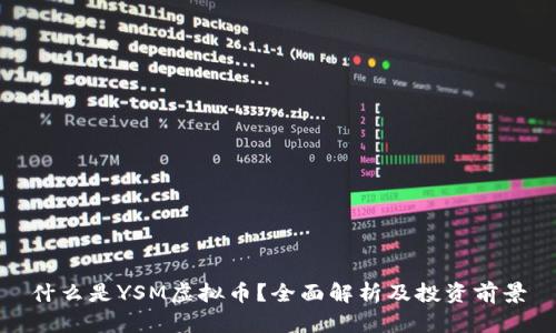 什么是YSM虚拟币？全面解析及投资前景