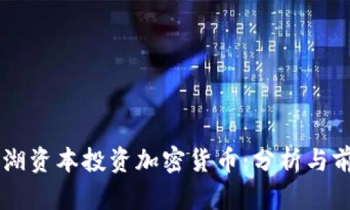 美国银湖资本投资加密货币：分析与前景展望
