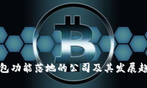 数字钱包功能落地的公司及其发展趋势分析