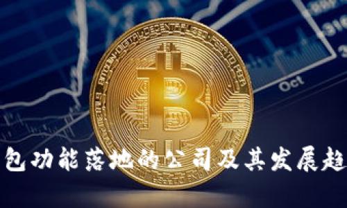 数字钱包功能落地的公司及其发展趋势分析