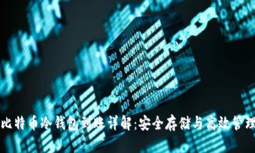 比特币冷钱包到账详解：安全存储与高效管理