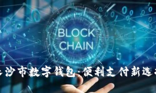 长沙市数字钱包：便利支付新选择