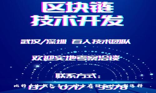 比特币冷钱包手表：安全存储与时尚新选择
