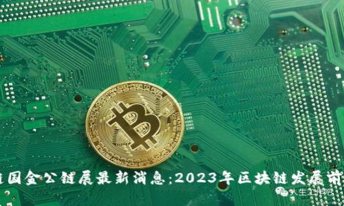 区块链国金公链展最新消息：2023年区块链发展前景分析