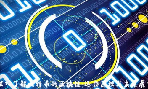 
深入了解比特币的区块链：运作原理与未来展望