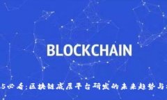 2025必看：区块链底层平台