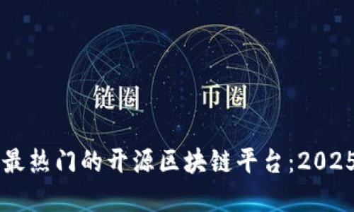 立即了解最热门的开源区块链平台：2025必看指南