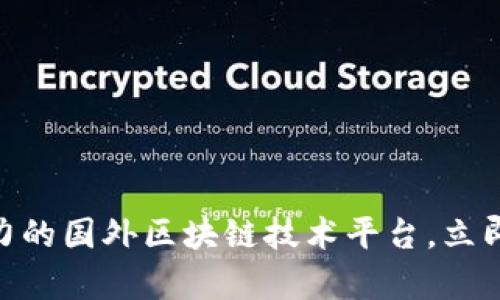 2025必看！最具潜力的国外区块链技术平台，立即掌握行业前沿动态