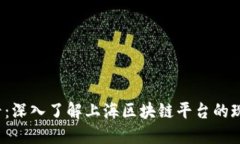 2025必看：深入了解上海区