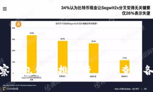 2025必看！tp观察钱包金额排行榜，立即查看各大项目投资潜力