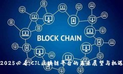 2025必看：CJL区块链平台的