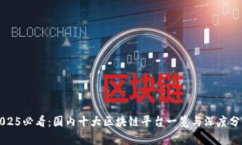 2025必看：国内十大区块链平台一览与深度分析