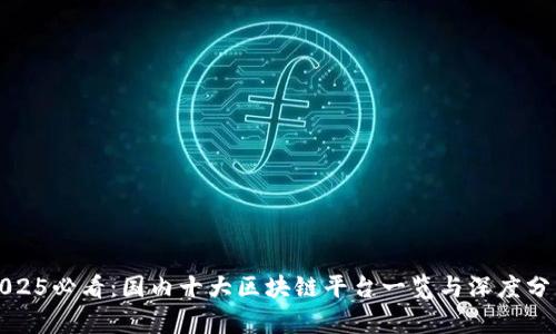 2025必看：国内十大区块链平台一览与深度分析