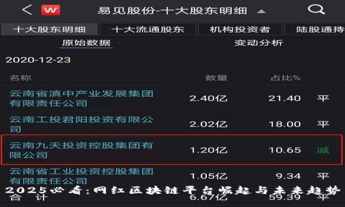 2025必看：网红区块链平台崛起与未来趋势