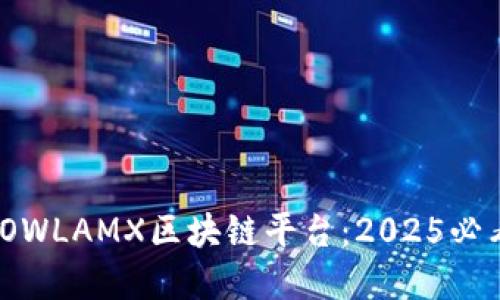  立即探索OWLAMX区块链平台：2025必看投资机会