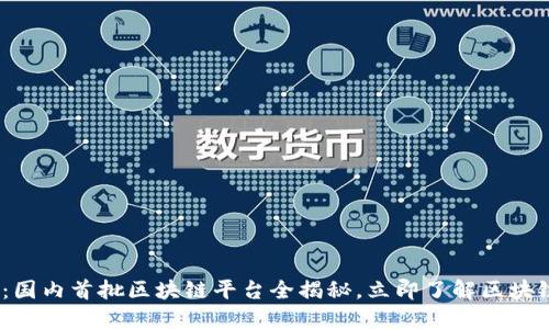 2025必看：国内首批区块链平台全揭秘，立即了解区块链未来趋势