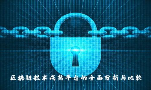 区块链技术成熟平台的全面分析与比较