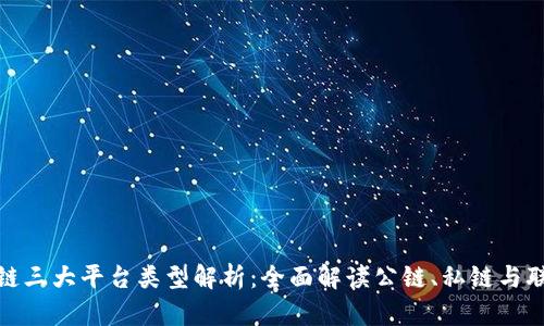 区块链三大平台类型解析：全面解读公链、私链与联盟链