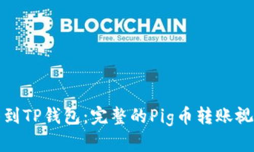从抹茶到TP钱包：完整的Pig币转账视频教程