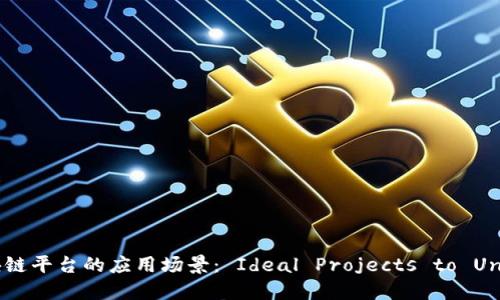 探索区块链平台的应用场景： Ideal Projects to Undertake