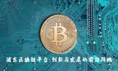 浦东区块链平台：创新与