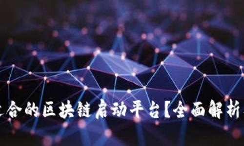 如何选择适合的区块链启动平台？全面解析及实用指南