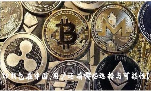 TP钱包在中国：用户还有哪些选择与可能性？