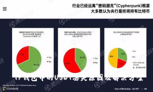  TP钱包中的USDT丢失原因及解决方案