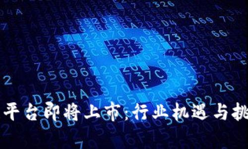 区块链平台即将上市：行业机遇与挑战解析