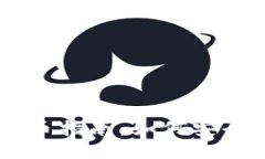 思考一个的  中本聪的TP钱