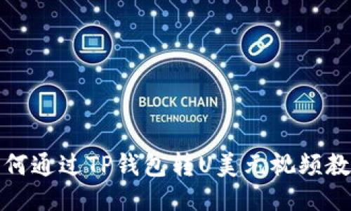 如何通过TP钱包转U美元视频教程