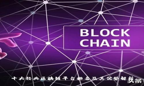 十大经典区块链平台排名及其优势解析