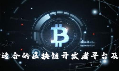 如何选择适合的区块链开发者平台及下载指南
