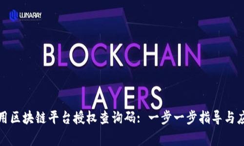 如何有效利用区块链平台授权查询码: 一步一步指导与应对常见问题