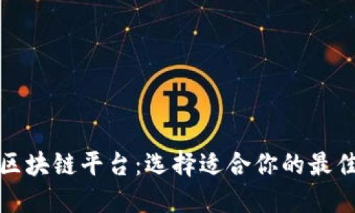 探索优质区块链平台：选择适合你的最佳解决方案